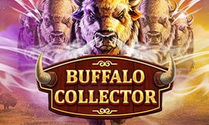 Buffalo Collector